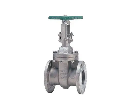 65-1877-55 Gate Valve (10 UMAMT) Nominal Diameter 40 mm 10UMAMT40A