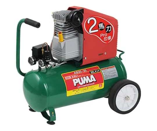 62-2846-34 SK 11 Air Compressor 30 L AB20-30