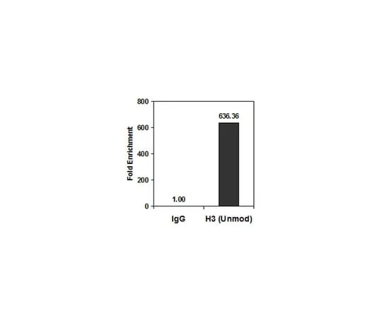 62-8374-75 Anti-Histone H3 (Unmodified Lys4), clone CMA301,Trial Size 05-1341-S