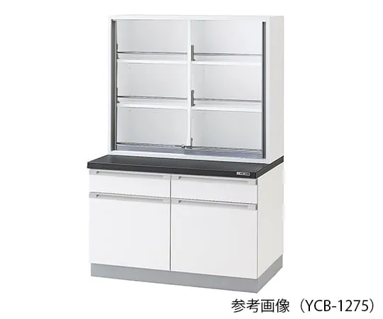 3-5766-11 Chemical Instrument Cabinet 900 x 400/750 x 1800mm YCB-975