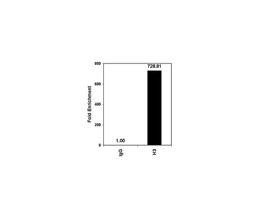 62-8393-59 ChIPAb+ Acetyl-Histone H3; 125 μg 17-615
