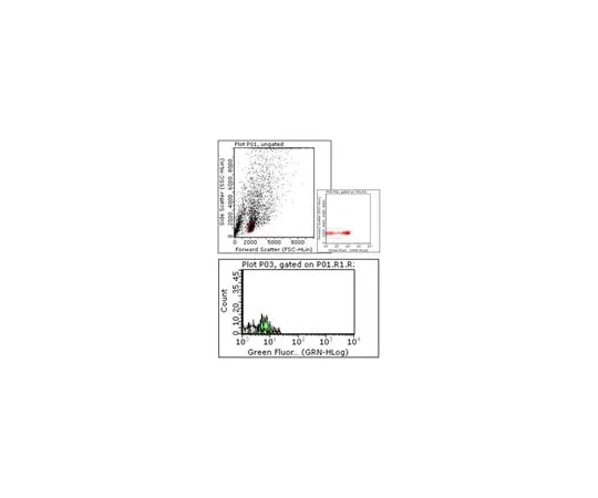 62-8368-15 Anti-IFNAR-1, clone MARI-5A3; 100 μg 04-151