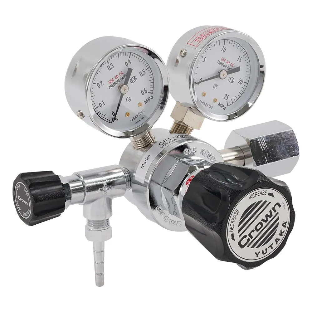 1-6666-13 Pressure Regulator GF1-2506-RN-VO GF1-2506-RN-VO
