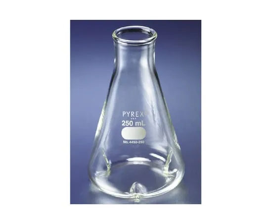 2-9436-02 Erlenmeyer Flask with Baffle 4450-250