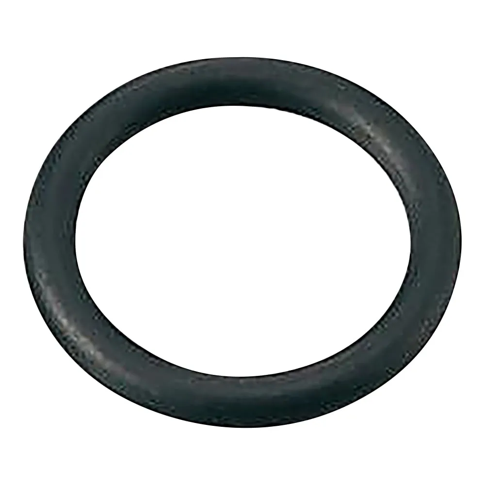 2-743-01 Kalrez O-Ring P-3