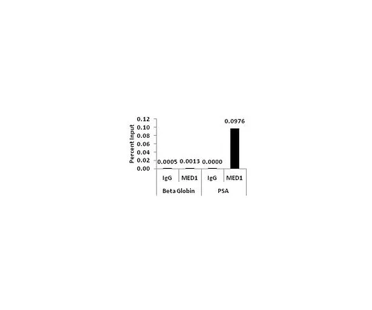 62-8395-19 ChIPAb+ MED1 Antibody - ChIP Validated Antibody and Primer Set 17-10530