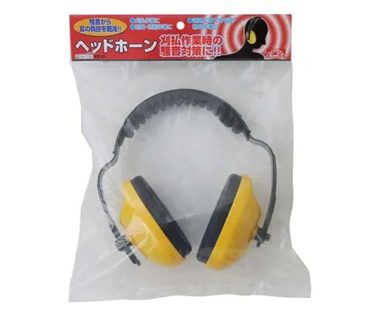 62-2789-89 Safety-3 Headphone KB-22