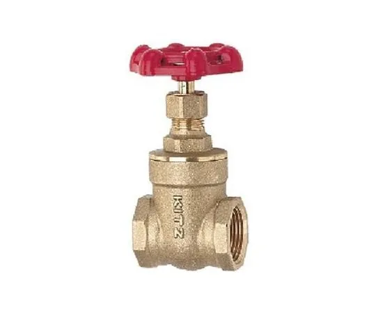 65-1888-94 General Purpose Gate Valve (FR) Nominal Diameter 10 mm FR10A