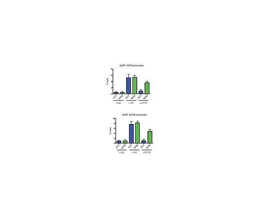 62-8461-54 Anti-Histone H3.3 Antibody, K27M mutant Cat. No. ABE419 ABE419