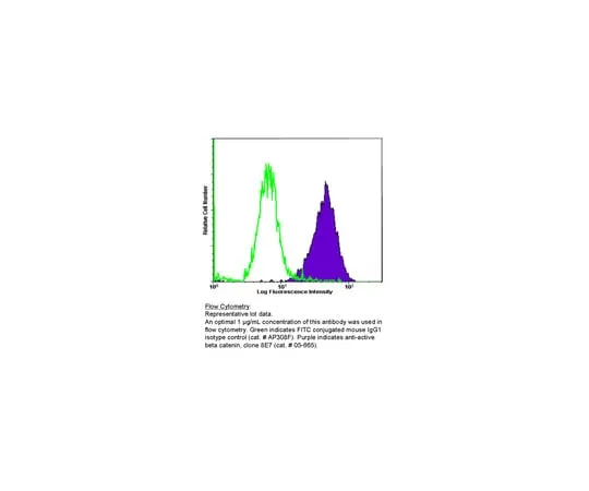 62-8372-31 Anti-Active-β-Catenin (anti-ABC), clone 8E7; 100 μg 05-665