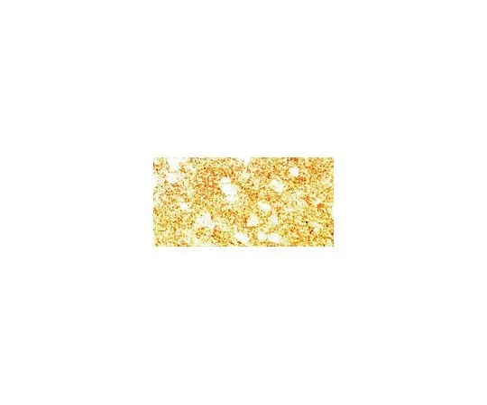 62-8449-74 Anti-Synuclein, alpha; 50 μg AB5336P