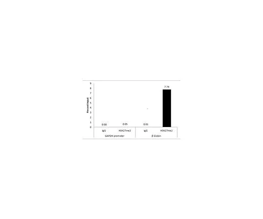 62-8384-97 Anti-dimethyl-Histone H3 (Lys27) Antibody 07-421-I