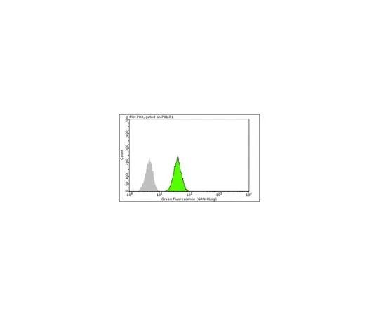 62-8375-45 Anti-mTOR, clone 2ID8.2; 100 μg 05-1592
