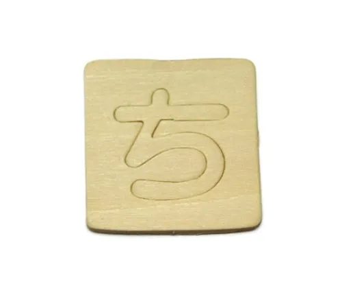 61-7391-99 Shnavenia Blanking Characters Chi SB45-