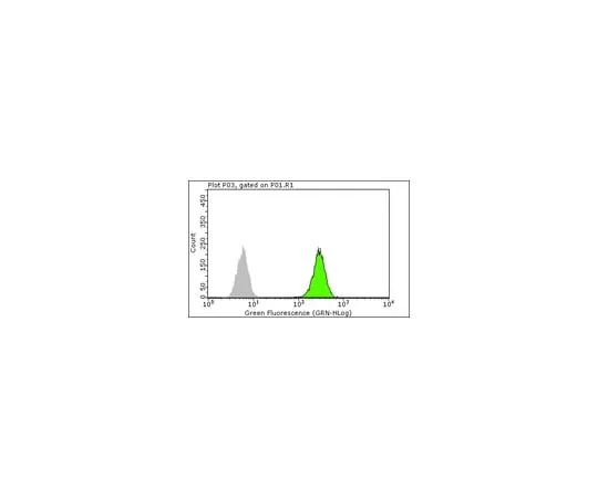 62-8374-13 Anti-c-Jun, clone 6E4.4; 100 μg 05-1076