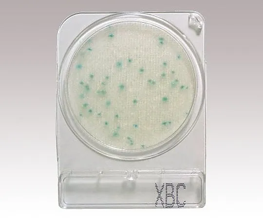 2-8998-08　［Discontinued］Compact Dry (For Detecting Cereus Bacteria/4 Pieces x 10 Bags)