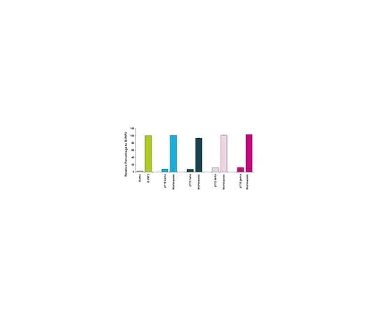 62-8393-40 PI3 Kinase Activity/Inhibitor ELISA; 1 Kit 17-493