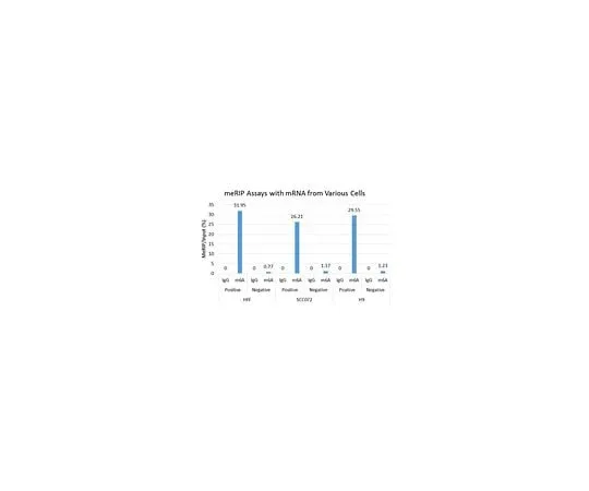 62-8395-04 Magna MeRIP(TM) m6A Kit- Transcriptome-wide Profiling of N6-Methyladenosine 17-10499