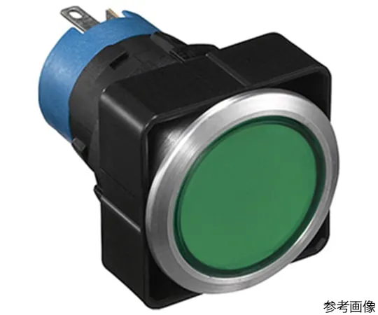 63-6301-89 Flash Silhouette LW Series Pilot Light Round LW6MP-12MPW