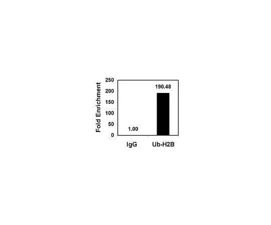 62-8393-68 ChIPAb+ Ubiquityl-Histone H2B; 25 assays 17-650