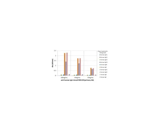 62-8369-77 Rabbit Anti-Human IgA, clone RM128 Antibody 04-1655