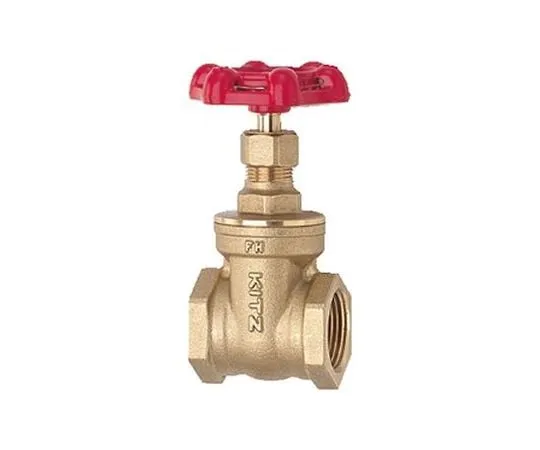 65-1888-84 General Purpose Gate Valve (FH) Nominal Diameter 8 mm FH8A