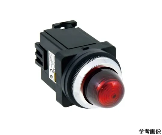 63-6188-87 TWN Series Pilot Light Φ 30 (Round LED) APN116DDNY