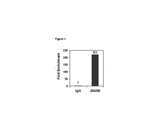 62-8394-82 ChIPAb+(TM) JMJD6; 25 assays 17-10263
