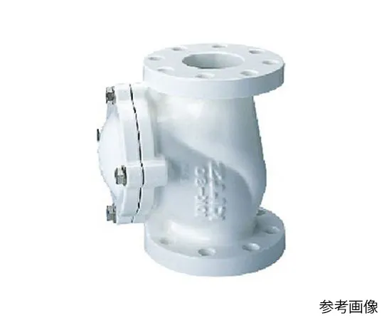65-1887-40 Cast Iron nylon 11 Lining ball chucking valve (10 FCFTN) Nominal Diameter 40 mm 10FCFTN40A