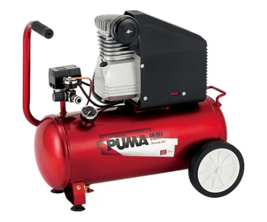 62-2846-79 SK 11 Air Compressor SR -251 SR-B30LPT-01