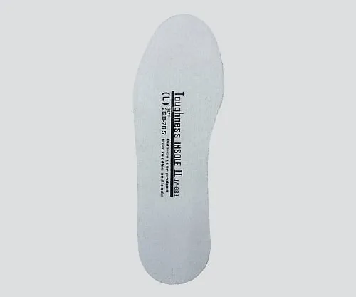 3-4667-02 Anti-Tread Insole II JW-689M