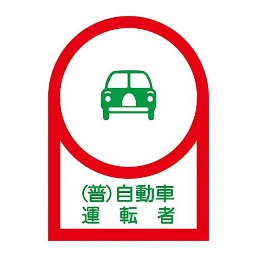 61-3422-20 Sticker For Helmet Ordinary Motor Vehicle Driver HL-38 233038
