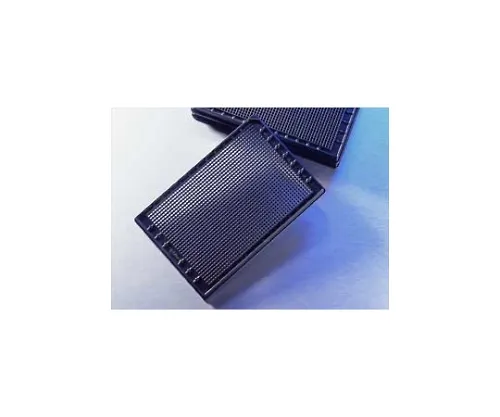 61-4689-99 1536 Well Clear Bottom Plate Black Flat Bottom No Processing No Sterilization without Cover 3891