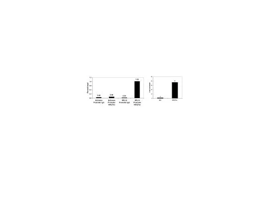 62-8393-84 ChIPAb+ Acetyl-Histone H3 (Lys27); 25 assays 17-683