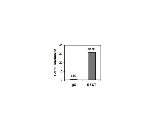 62-8393-64 ChIPAb+ REST; 25 assays 17-641