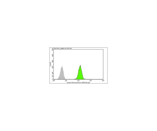 62-8375-23 Anti-SMN, clone 2B1; 100 μg 05-1532