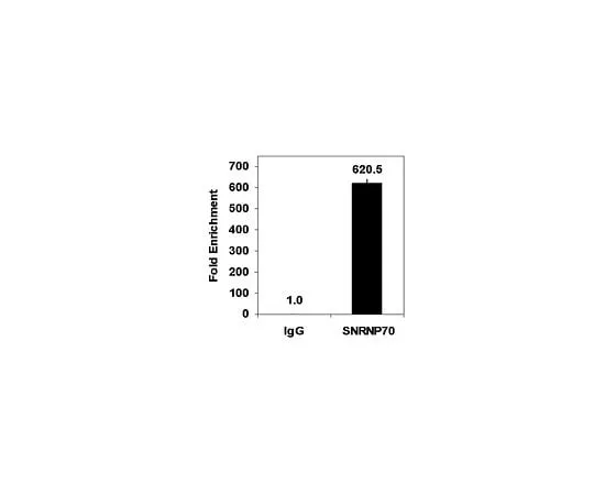 62-8393-86 Magna RIP(TM) RNA-Binding Protein Immunoprecipitation Kit; 12 assays 17-700