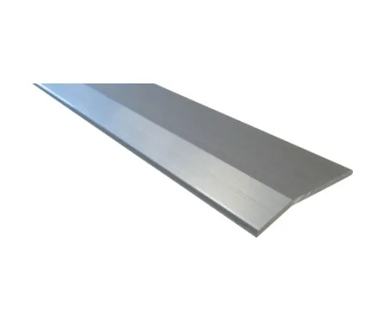 64-5009-29　［Discontinued］Aluminum Carpet Presser Silver 2 m　FJ100S2