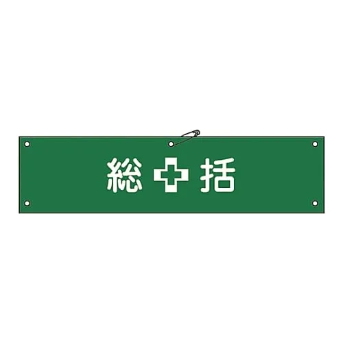 61-3424-09 Armband Summary Armband-1A 139101
