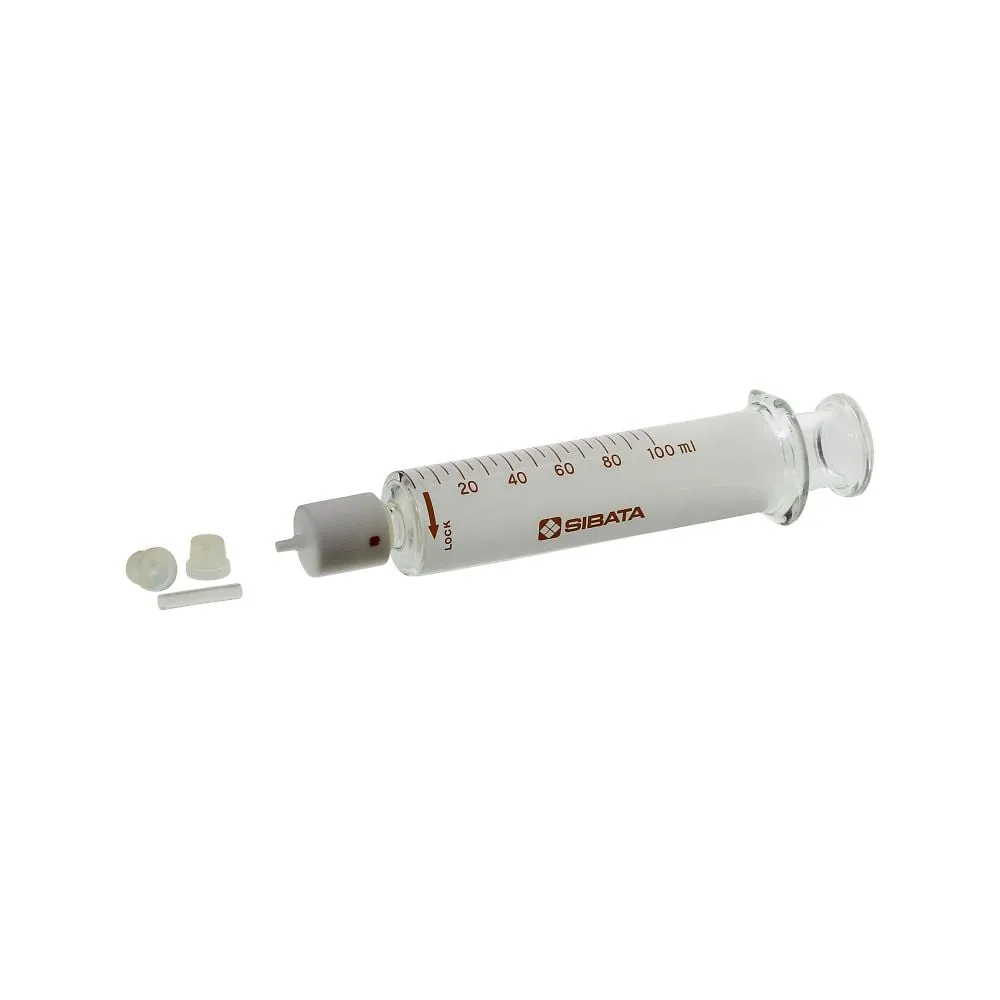 61-4431-24 Gastight Syringe 100mL 080100-06