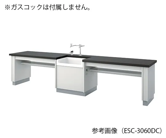 3-7666-01 Student Laboratory bench 3000 x 600 x 700mm ESC-3060DCL