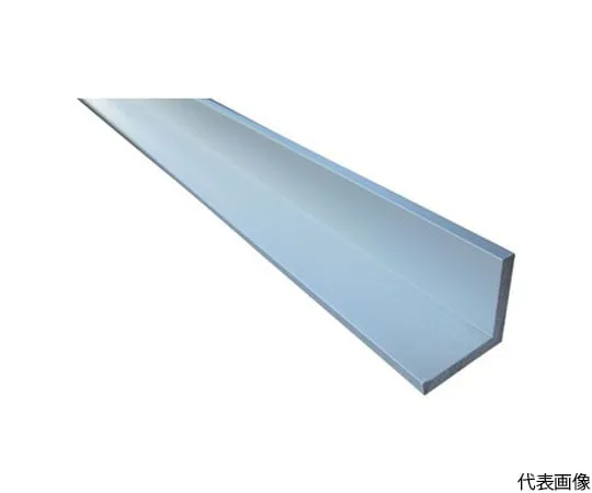 64-5009-76 Aluminum Mole Angle 25 x 25 x 3.0 Silver 2 m FM108SL