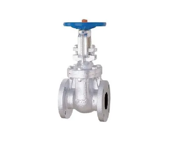 65-1886-65 Cast Iron JIS Standards Gate Valve (5 FCM) Nominal Diameter 50 mm 5FCM50A