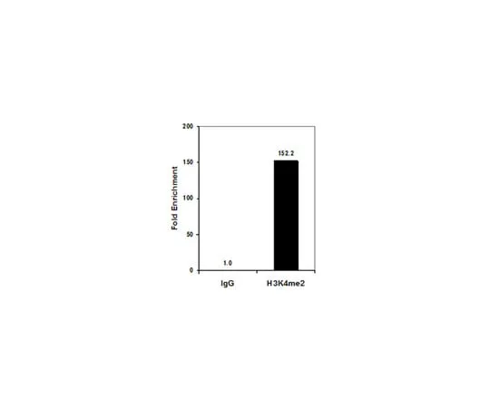 62-8374-70 Anti-Dimethyl Histone H3 (Lys4), clone CMA303; 100 μg 05-1338