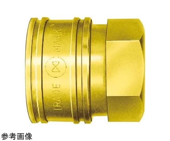 65-9008-07　［Discontinued］TSP Coupler Screw Size R1/8 Brass 27 g　1TSFBRASSFKM