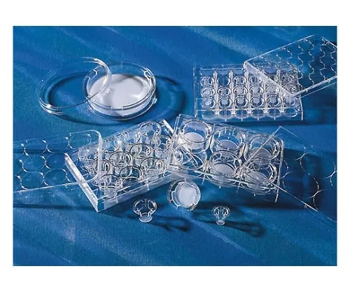 3-853-01 Transwell Clear 24 Wells 8.0μm, Cell Cultivated Surface Treatment Processed 3464