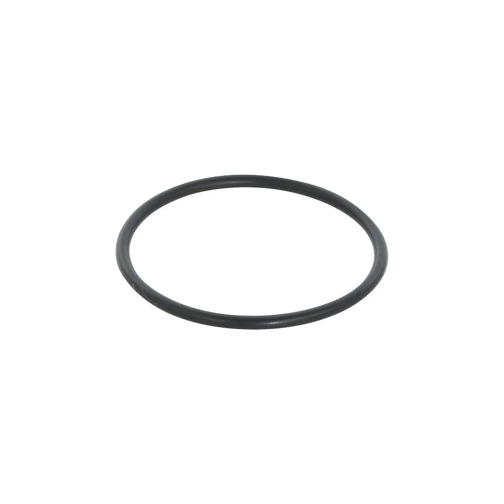 61-4429-61 O-Ring Perfluor for CP-300 φ47 054330-3100