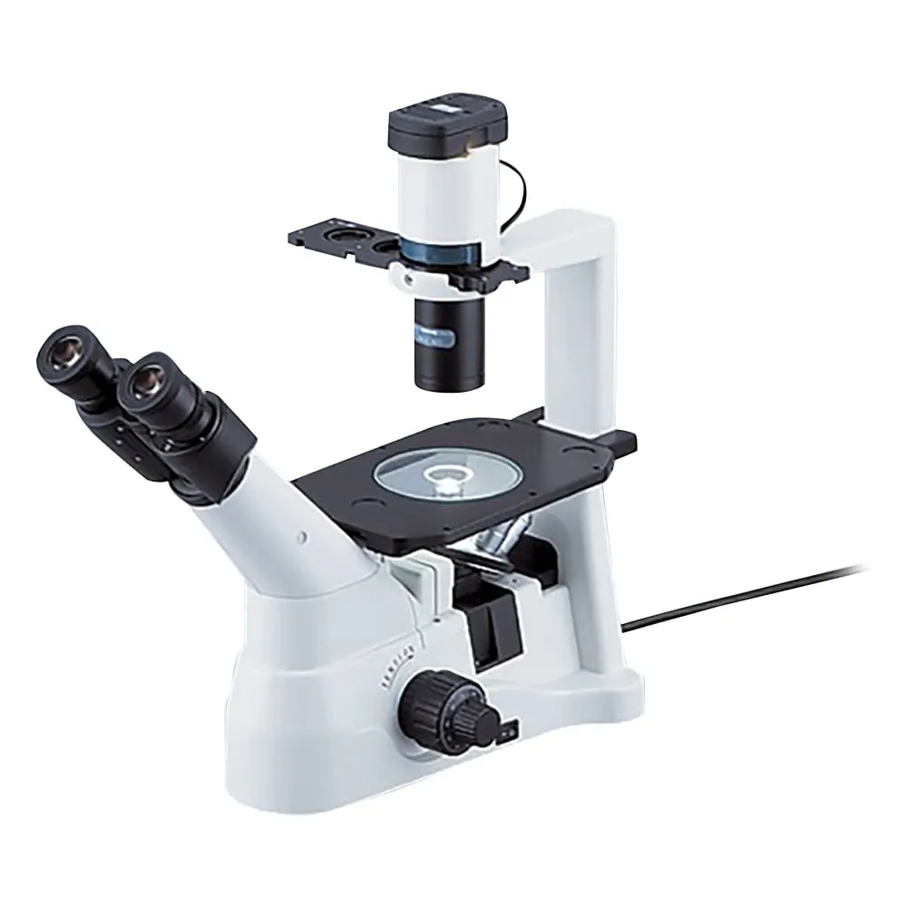 1-1929-11 Inverted Microscope 40 - 600 x RD-50