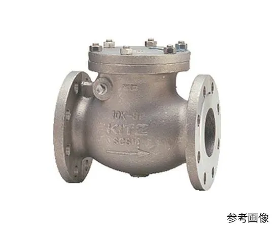 65-1878-41 Swing Chuck Valve (10 UOAMT) Nominal Diameter 80 mm 10UOAMT80A