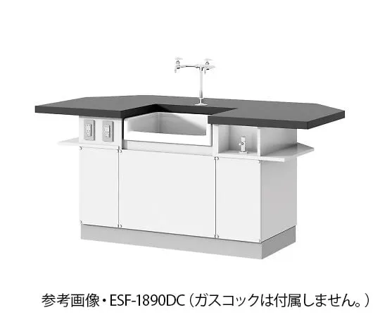 4-1150-01 Student Laboratory bench (face-to-face type) ESF-1890DCL